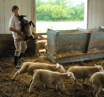 photo of Joseph working in the sheep barn